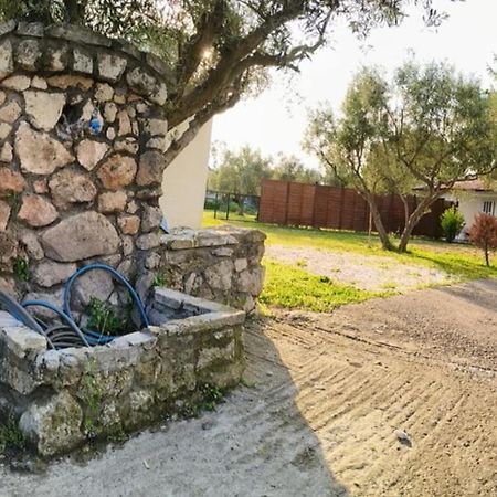 Πετρινη Κατοικια Στην Φυση Villa Tagarades Ngoại thất bức ảnh