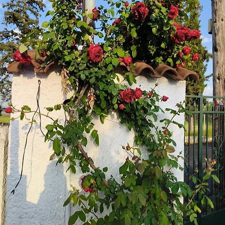 Πετρινη Κατοικια Στην Φυση Villa Tagarades Ngoại thất bức ảnh