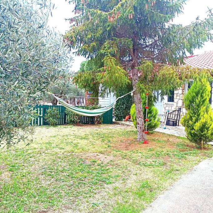 Πετρινη Κατοικια Στην Φυση Villa Tagarades Ngoại thất bức ảnh