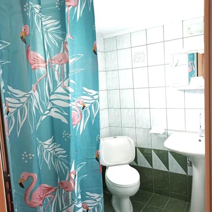 Πετρινη Κατοικια Στην Φυση Villa Tagarades Ngoại thất bức ảnh